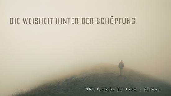The Purpose of Life | German